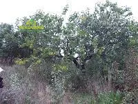 Na predaj 4-izbový dom, 492 m², Žitavany, Kňažická