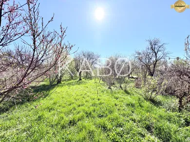 Na predaj dom v Hrušovany · €139 000 · Pôvodný stav