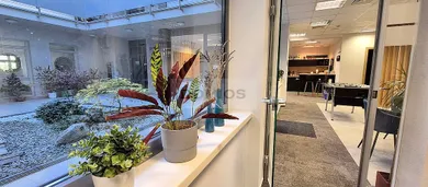 Na prenájom komerčné, 117 m², Košice-Staré Mesto
