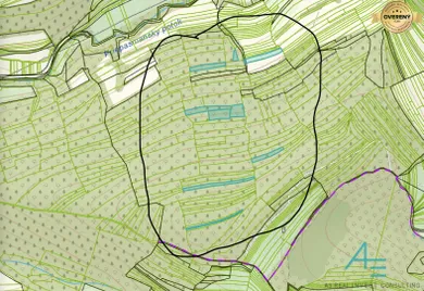 See details