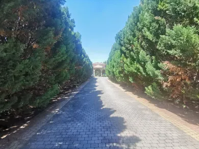 Na prenájom dom, 93 m², Nové Zámky