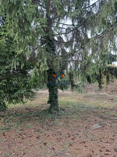 Na predaj dom v Dunajská Streda · €195 000 · Pôvodný stav