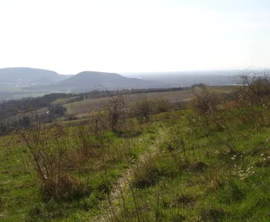 Na predaj pozemok, Bratislava-Devín, K zlatému rohu