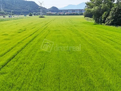 Na predaj pozemok v Podtureň · €62 484 · Pôvodný stav