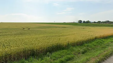 Na predaj pozemok, Veľké Dvorany