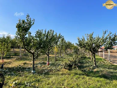 Na predaj pozemok, Branovo