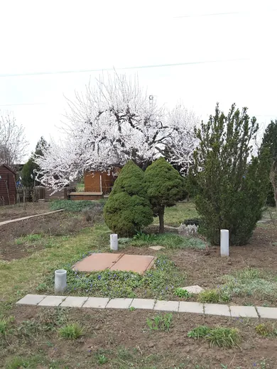 Na predaj pozemok, Trnava, Nerudova