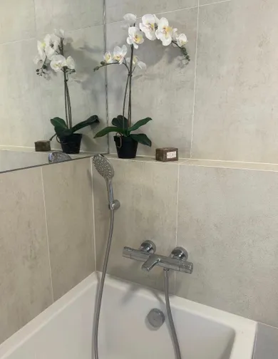 Na prenájom 2-izbový byt, 60 m², Bratislava-Staré Mesto, Pribinova