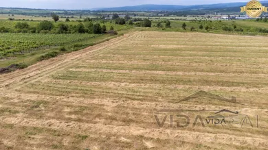 Na predaj pozemok, Modra
