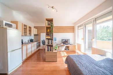 Na prenájom 1-izbový byt, 30 m², Bratislava-Petržalka, Antolská