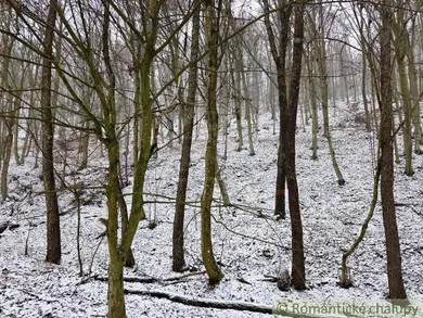 Na predaj pozemok, Hrušov