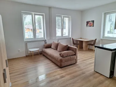 Mieszkania na wynajem, 1-pokojowe, Brezno · €370