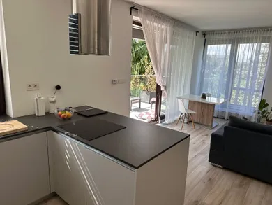 Na prenájom 2-izbový byt, 68 m², Bratislava-Staré Mesto, Hriňovská
