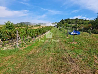 Działki na sprzedaż, Pezinok · €49 000