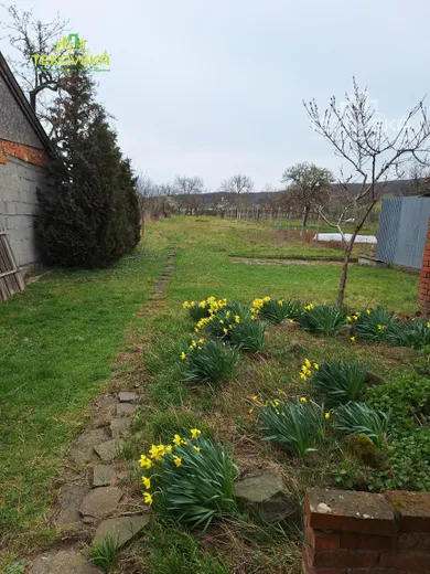 Na predaj 1-izbový dom, 291 m², Žitavany, Fraňa Kráľa