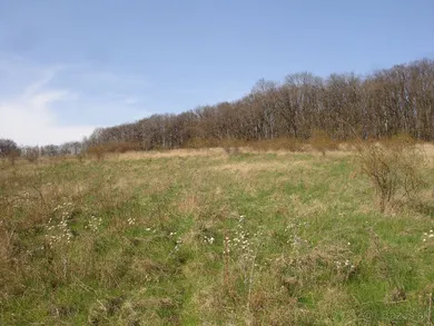 Na predaj pozemok, Bratislava-Devín, K zlatému rohu