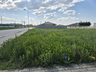 Na predaj pozemok, Trnava, Kamenný Mlyn