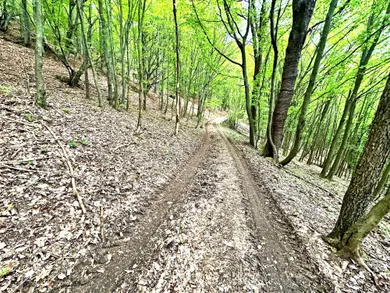 Na predaj pozemok, Vyhne