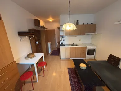 Byty na prenájom 1-izbový, Bratislava-Podunajské Biskupice · €500