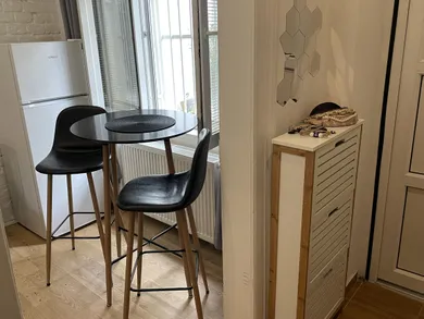 Na prenájom 1-izbový byt, 44 m², Bratislava-Staré Mesto, Ferienčíkova