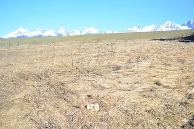 Na predaj pozemok, 800 m², Štrba, J. GEJDOŠA