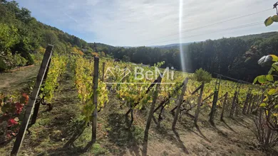 Na predaj pozemok, 578 m², Stará Turá, Dubnik