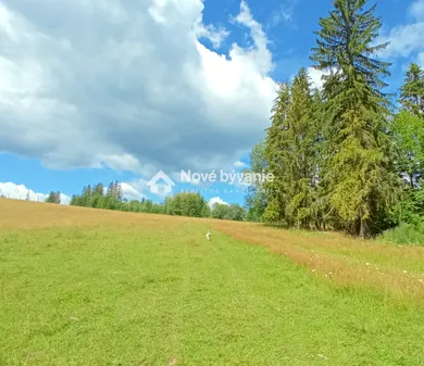 Na predaj pozemok, Bukovina