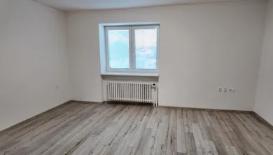 Na prenájom dom, Baka