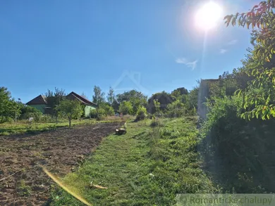 Na predaj pozemok, Bruty