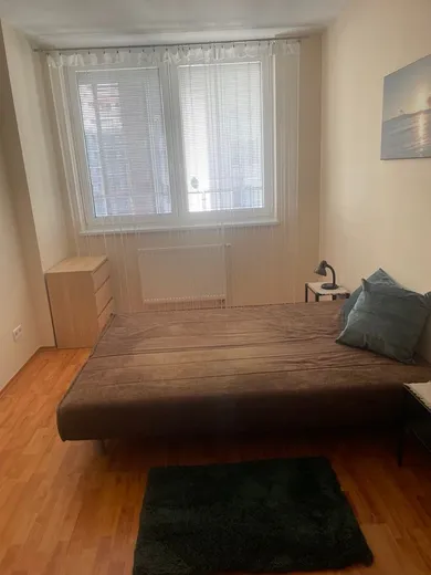 Na prenájom byt v Bratislava-Ružinov · €700 · Novostavba