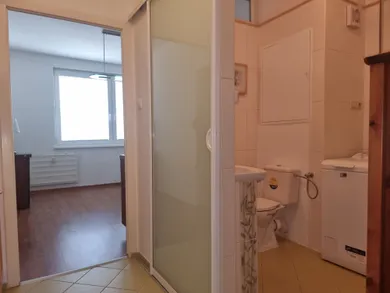 Na prenájom 1-izbový byt, 38 m², Nitra, Petzwalova