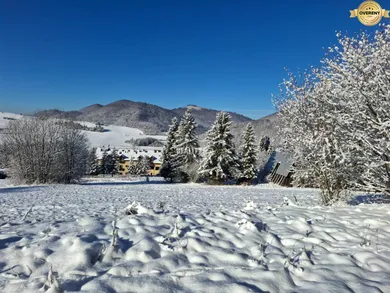 Na predaj pozemok, Belá