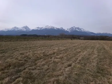 Na predaj pozemok, Veľký Slavkov