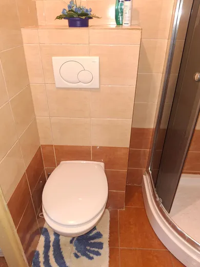 Na prenájom dom, 237 m², Šenkvice, hlavna