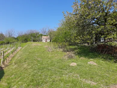 Pozemky na predaj, Stupava · €94 000