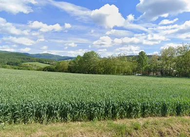 Na predaj pozemok, Kálnica