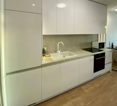 Na prenájom 1-izbový byt, 38 m², Bratislava-Ružinov, Rožňavská