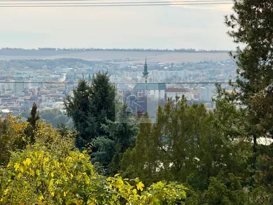 Na prenájom 1-izbový byt, 109 m², Nitra, Hornozoborská