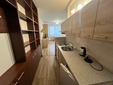 Na prenájom 1-izbový byt, 30 m², Trenčín, Západná