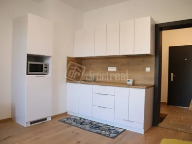 Квартири в оренду, 1-кімнатні, Dunajská Streda · €480