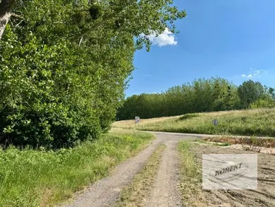 Na predaj 3-izbový dom, 272 m², Kolárovo