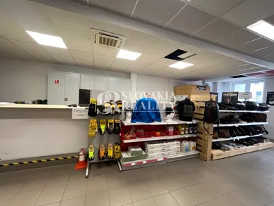 Na prenájom komerčné, 249 m², Nitra