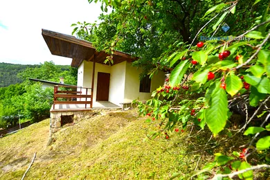 Na predaj rekreačný dom, 672 m², Košice-Sever, Suchodolinská