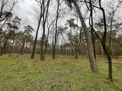 Na predaj pozemok, Borský Svätý Jur