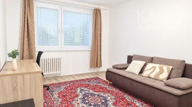 Byty na prenájom 1-izbový, Bratislava-Petržalka · €530