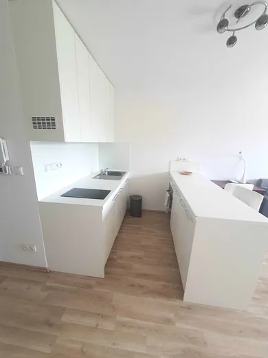 Na prenájom 1-izbový byt, 28 m², Bratislava-Ružinov, Miletičova