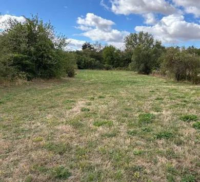 Na predaj pozemok, Drženice