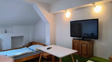 Na prenájom komerčné, 142 m², Košice-Staré Mesto, Masarykova