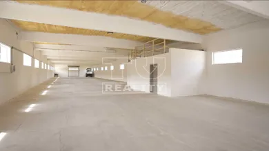 Na prenájom komerčné, 750 m², Zábiedovo