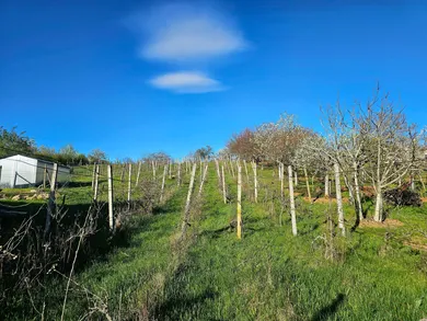 Na predaj pozemok, 243 m², Levice, Staré Levice